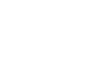 The Dixie Grammar School